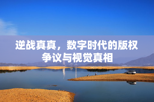 逆战真真，数字时代的版权争议与视觉真相