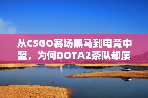 从CSGO赛场黑马到电竞中坚,为何DOTA2茶队却屡遭非议? 从CSGO赛场黑马到电竞中坚,为何DOTA2茶队却屡遭非议?