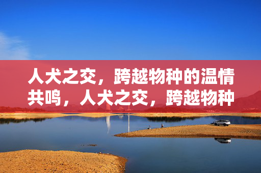 人犬之交,跨越物种的温情共鸣,人犬之交,跨越物种的温情共鸣 人犬之交,跨越物种的温情共鸣,人犬之交,跨越物种的温情共鸣