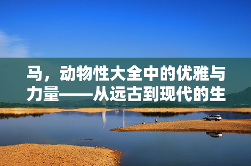 马,动物性大全中的优雅与力量——从远古到现代的生态与文化图景,马,动物性大全中的优雅与力量——从远古到现代的生态与文化图景 马,动物性大全中的优雅与力量——从远古到现代的生态与文化图景,马,动物性大全中的优雅与力量——从远古到现代的生态与文化图景