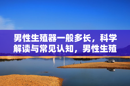 男性生殖器一般多长,科学解读与常见认知,男性生殖器长度,科学解读与常见认知 男性生殖器一般多长,科学解读与常见认知,男性生殖器长度,科学解读与常见认知