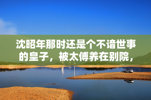 沈昭年那时还是个不谙世事的皇子,被太傅养在别院,以为这深宫里只有算计与阴谋。直到谢清递来他渴求的梅子酒,酒香混着少年人身上淡淡的皂角与风的味道,让他第一次觉得,这冰冷的宫殿里,竟有暖流,梅子酒暖了皇子的深宫心 沈昭年那时还是个不谙世事的皇子,被太傅养在别院,以为这深宫里只有算计与阴谋。直到谢清递来他渴求的梅子酒,酒香混着少年人身上淡淡的皂角与风的味道,让他第一次觉得,这冰冷的宫殿里,竟有暖流,梅子酒暖了皇子的深宫心