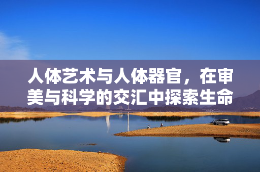 人体艺术与人体器官,在审美与科学的交汇中探索生命的本真,人体艺术与人体器官,在审美与科学的交汇中探索生命的本真 人体艺术与人体器官,在审美与科学的交汇中探索生命的本真,人体艺术与人体器官,在审美与科学的交汇中探索生命的本真