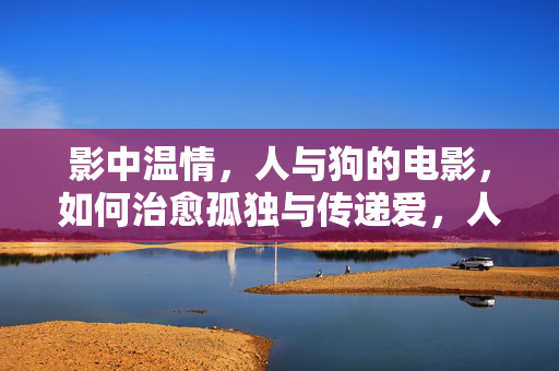 影中温情，人与狗的电影，如何治愈孤独与传递爱，人与狗的温情电影，如何治愈孤独与传递爱