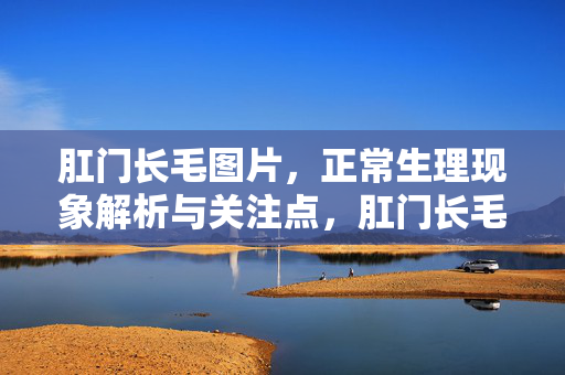 肛门长毛图片,正常生理现象解析与关注点,肛门长毛图片,正常生理现象解析与关注点 肛门长毛图片,正常生理现象解析与关注点,肛门长毛图片,正常生理现象解析与关注点