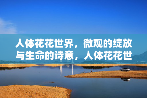 人体花花世界，微观的绽放与生命的诗意，人体花花世界，微观绽放与生命的诗意