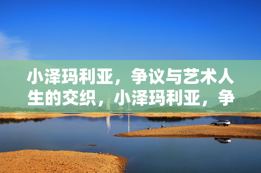 小泽玛利亚，争议与艺术人生的交织，小泽玛利亚，争议与艺术人生的交织