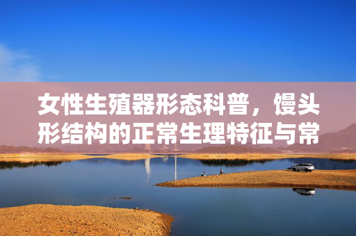 女性生殖器形态科普,馒头形结构的正常生理特征与常见认知,女性生殖器形态科普,馒头形结构的正常生理特征与常见认知 女性生殖器形态科普,馒头形结构的正常生理特征与常见认知,女性生殖器形态科普,馒头形结构的正常生理特征与常见认知
