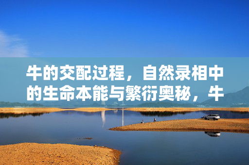 牛的交配过程,自然录相中的生命本能与繁衍奥秘,牛的交配过程,自然录相中的生命本能与繁衍奥秘 牛的交配过程,自然录相中的生命本能与繁衍奥秘,牛的交配过程,自然录相中的生命本能与繁衍奥秘