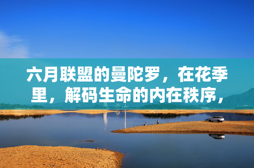 六月联盟的曼陀罗,在花季里,解码生命的内在秩序,六月联盟的曼陀罗,在花季里解码生命的内在秩序 六月联盟的曼陀罗,在花季里,解码生命的内在秩序,六月联盟的曼陀罗,在花季里解码生命的内在秩序