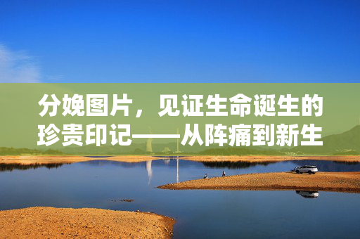 分娩图片,见证生命诞生的珍贵印记——从阵痛到新生的视觉叙事,分娩图片,见证生命诞生的珍贵印记——从阵痛到新生的视觉叙事 分娩图片,见证生命诞生的珍贵印记——从阵痛到新生的视觉叙事,分娩图片,见证生命诞生的珍贵印记——从阵痛到新生的视觉叙事