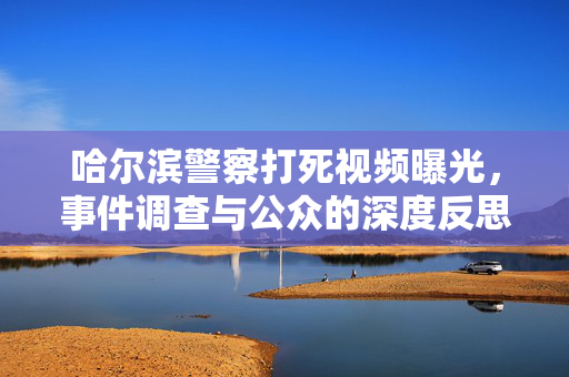 哈尔滨警察打死视频曝光,事件调查与公众的深度反思,哈尔滨警察打死视频曝光,事件调查与公众的深度反思 哈尔滨警察打死视频曝光,事件调查与公众的深度反思,哈尔滨警察打死视频曝光,事件调查与公众的深度反思