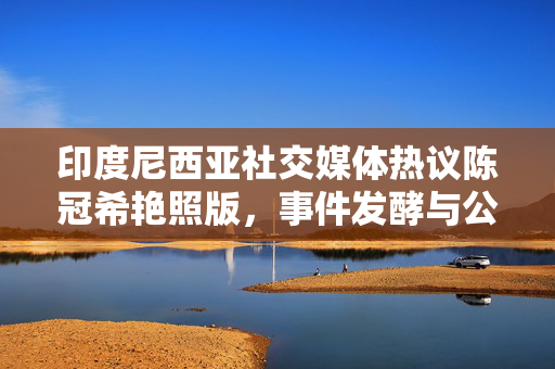 印度尼西亚社交媒体热议陈冠希艳照版，事件发酵与公众反应分析，印度尼西亚社交媒体热议陈冠希艳照事件，事件发酵与公众反应分析