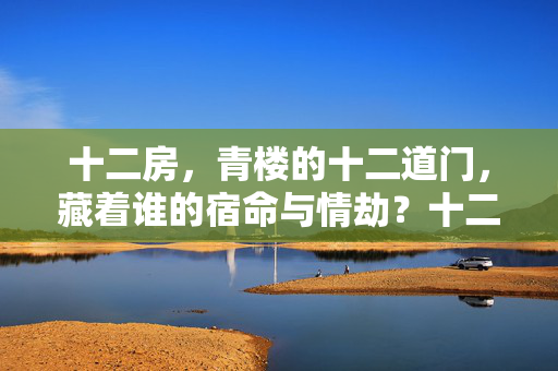 十二房,青楼的十二道门,藏着谁的宿命与情劫?十二房,青楼十二道门,藏着谁的宿命与情劫? 十二房,青楼的十二道门,藏着谁的宿命与情劫?十二房,青楼十二道门,藏着谁的宿命与情劫?