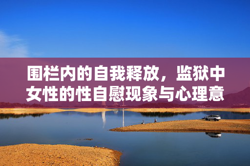 围栏内的自我释放,监狱中女性的性自慰现象与心理意义,围栏内的自我释放,监狱中女性的性自慰现象与心理意义 围栏内的自我释放,监狱中女性的性自慰现象与心理意义,围栏内的自我释放,监狱中女性的性自慰现象与心理意义