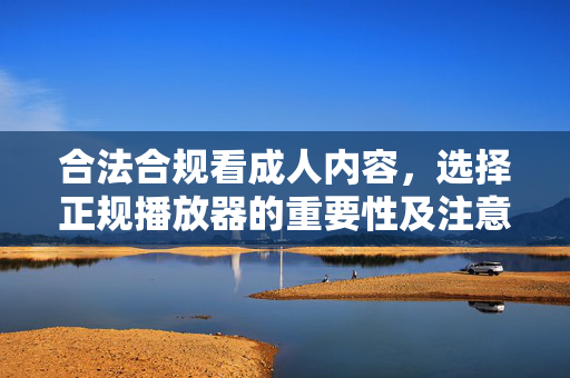 合法合规看成人内容，选择正规播放器的重要性及注意事项，合法合规看成人内容，选择正规播放器的重要性及注意事项