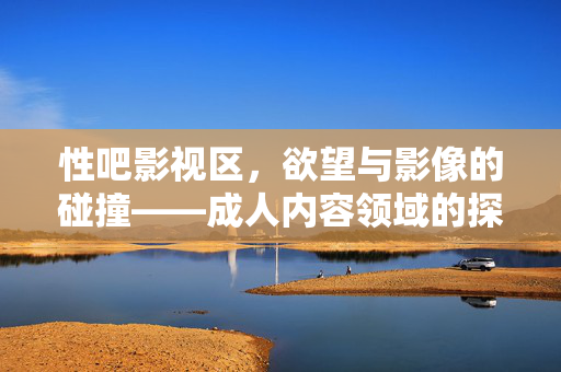 性吧影视区，欲望与影像的碰撞——成人内容领域的探索与争议