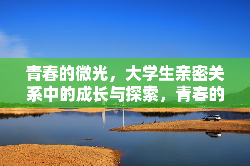青春的微光,大学生亲密关系中的成长与探索,青春的微光,大学生亲密关系中的成长与探索 青春的微光,大学生亲密关系中的成长与探索,青春的微光,大学生亲密关系中的成长与探索