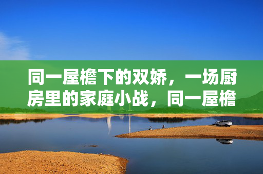 同一屋檐下的双娇，一场厨房里的家庭小战，同一屋檐下的双娇，一场厨房里的家庭小战