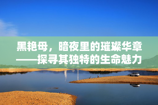 黑艳母，暗夜里的璀璨华章——探寻其独特的生命魅力，黑艳母，暗夜里的璀璨华章——探寻其独特的生命魅力