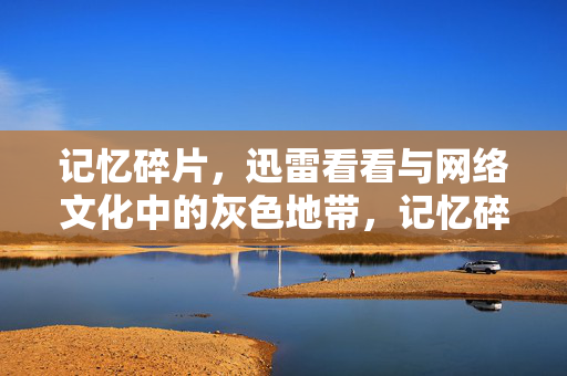 记忆碎片，迅雷看看与网络文化中的灰色地带，记忆碎片，迅雷看看与网络文化中的灰色地带