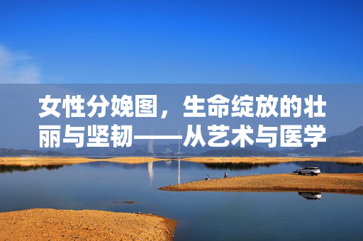 女性分娩图，生命绽放的壮丽与坚韧——从艺术与医学的交融看分娩的生理之美与人文温度，女性分娩图，生命绽放的壮丽与坚韧——从艺术与医学的交融看分娩的生理之美与人文温度