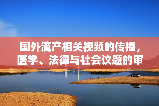 国外流产相关视频的传播，医学、法律与社会议题的审视，国外流产相关视频的传播，医学、法律与社会议题的审视