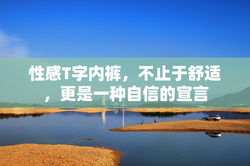 性感T字内裤,不止于舒适,更是一种自信的宣言 性感T字内裤,不止于舒适,更是一种自信的宣言