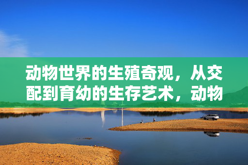 动物世界的生殖奇观,从交配到育幼的生存艺术,动物世界的生殖奇观,从交配到育幼的生存艺术 动物世界的生殖奇观,从交配到育幼的生存艺术,动物世界的生殖奇观,从交配到育幼的生存艺术