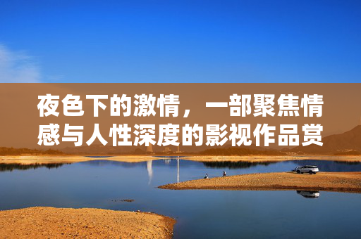 夜色下的激情，一部聚焦情感与人性深度的影视作品赏析，夜色下的激情，一部聚焦情感与人性深度的影视作品赏析