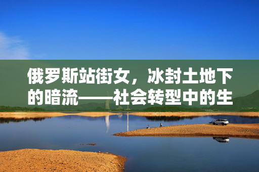 俄罗斯站街女，冰封土地下的暗流——社会转型中的生存困境与反思，俄罗斯站街女，冰封土地下的暗流——社会转型中的生存困境与反思