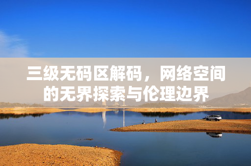 三级无码区解码，网络空间的无界探索与伦理边界
