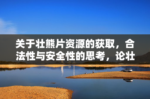 关于壮熊片资源的获取,合法性与安全性的思考,论壮熊片资源获取的合法性与安全性思考 关于壮熊片资源的获取,合法性与安全性的思考,论壮熊片资源获取的合法性与安全性思考