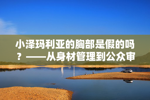 小泽玛利亚的胸部是假的吗?——从身材管理到公众审美变迁的观察,小泽玛利亚的胸部是假的吗?——从身材管理到公众审美变迁的观察 小泽玛利亚的胸部是假的吗?——从身材管理到公众审美变迁的观察,小泽玛利亚的胸部是假的吗?——从身材管理到公众审美变迁的观察