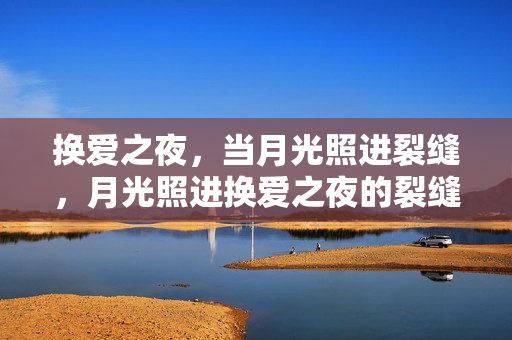 换爱之夜,当月光照进裂缝,月光照进换爱之夜的裂缝 换爱之夜,当月光照进裂缝,月光照进换爱之夜的裂缝
