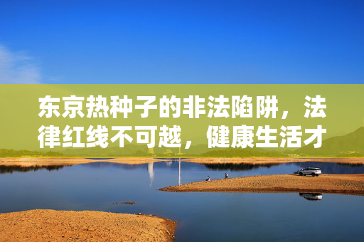 东京热种子的非法陷阱，法律红线不可越，健康生活才是正道，东京热种子非法陷阱，法律红线不可越，健康生活是正道