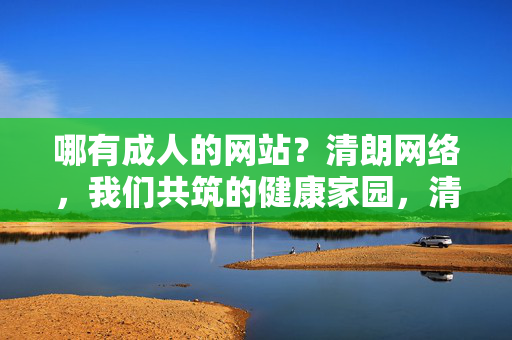 哪有成人的网站？清朗网络，我们共筑的健康家园，清朗网络，共筑健康家园