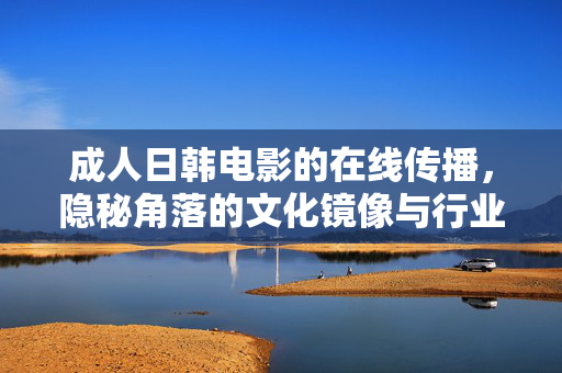 成人日韩电影的在线传播，隐秘角落的文化镜像与行业困局，成人日韩电影在线传播，文化镜像与行业困局