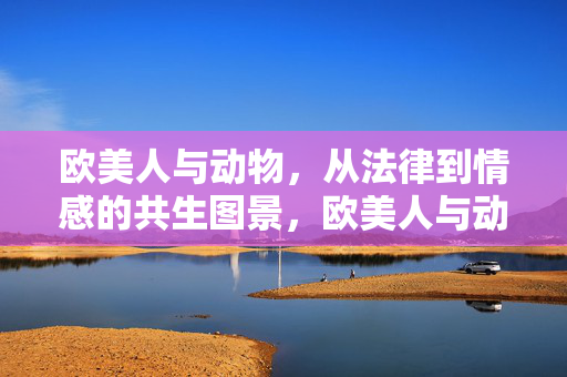 欧美人与动物，从法律到情感的共生图景，欧美人与动物，法律与情感的共生图景