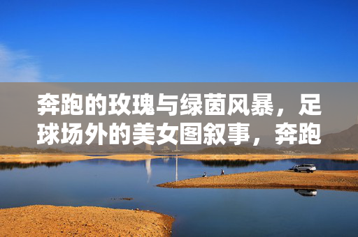 奔跑的玫瑰与绿茵风暴，足球场外的美女图叙事，奔跑的玫瑰与绿茵风暴，足球场外的图叙事