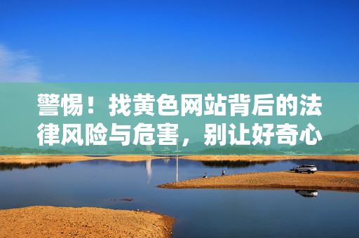 警惕!找黄色网站背后的法律风险与危害,别让好奇心毁掉你的人生,警惕!找黄色网站的法律风险与人生代价 警惕!找黄色网站背后的法律风险与危害,别让好奇心毁掉你的人生,警惕!找黄色网站的法律风险与人生代价