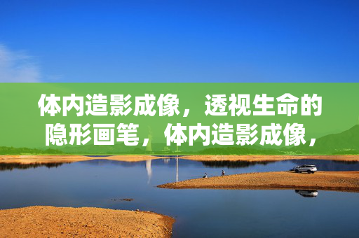 体内造影成像,透视生命的隐形画笔,体内造影成像,透视生命的隐形画笔 体内造影成像,透视生命的隐形画笔,体内造影成像,透视生命的隐形画笔