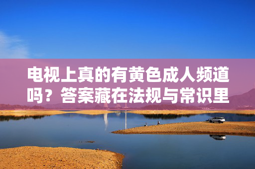 电视上真的有黄色成人频道吗?答案藏在法规与常识里,电视黄色成人频道存在吗?法规与常识揭秘 电视上真的有黄色成人频道吗?答案藏在法规与常识里,电视黄色成人频道存在吗?法规与常识揭秘