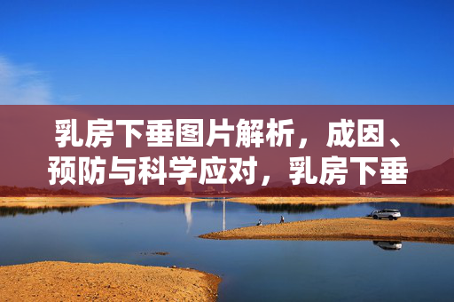 乳房下垂图片解析，成因、预防与科学应对，乳房下垂图解，成因、预防与科学应对