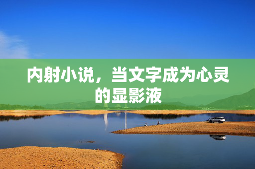 内射小说，当文字成为心灵的显影液