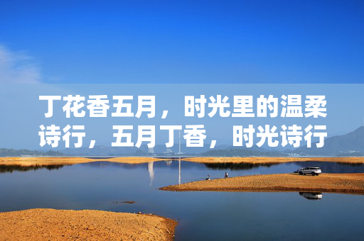 丁花香五月，时光里的温柔诗行，五月丁香，时光诗行