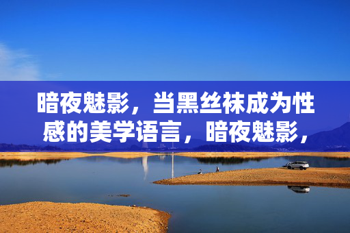 暗夜魅影，当黑丝袜成为性感的美学语言，暗夜魅影，黑丝袜的性感美学语言