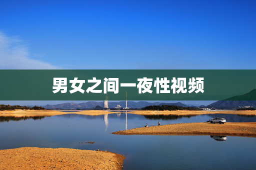 男女之间一夜性视频