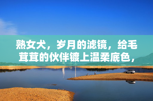 熟女犬，岁月的滤镜，给毛茸茸的伙伴镀上温柔底色，熟女犬，岁月滤镜，给毛茸茸伙伴镀上温柔底色