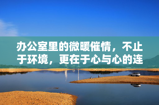 办公室里的微暖催情，不止于环境，更在于心与心的连接